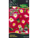 DARŽELINĖ PETUNIJA MIRAGE RED MORN kilimėlyje