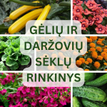 Gėlių ir daržovių sėklų rinkinys NOJAUS SĖKLOS hermetikuose. 50vnt