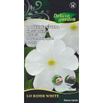 DARŽELINĖ PETUNIJA LO RIDER WHITE kilimėlyje