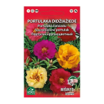 PORTULAKA DIDŽIAŽIEDĖ MI&Scaron;INYS