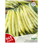 Pupelės žemaūgės daržinės Berggold 20g