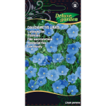 Daugiametis linas 1g