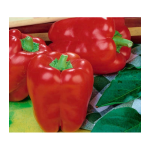 Paprikos Barborka 10g
