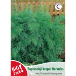 PAPRASTIEJI KRAPAI HERCULES