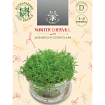 Sėklos daigams Daržinis builis 10g (ANTHRISCUS CEREFOLIUM)