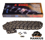 Varomoji grandinė IRIS 530 X-RING 108L GOLD