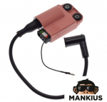 CDI Babina / Uždegimo Ritė PIAGGIO 0070,0071,0072 VERSION B