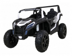 Vaiki&scaron;kas elektromobilis Bagis Power Buggy UTV 4WD