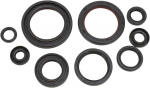 SEAL OIL SET CRF450R