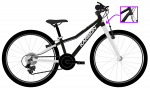 Dviratis Karbon Superlight 20 black
