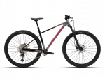 Dviratis 29" POLYGON XTRADA 6 pilka/juoda - l