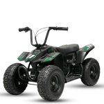 Elektrinis keturratis Mankius Thunder 250w 24V (2-5m)