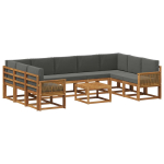 Lauko sofos komplektas 10 pcs Natūralus ir antracitas