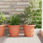 Apvalus gėlių padėklas 6 pcs Raudona plyta &Oslash; 19 x 2 cm