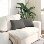 Sofa Pagalvės 2 pcs &Scaron;viesiai pilka 50 x 30 cm