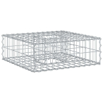 Gabioninė pakelta lova Sidabro 60 x 60 x 20 cm Cinkuota plienas
