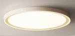 &Scaron;viestuvas plafonas Standart, LED,28W, 3000-6500K,2700lm,&Oslash;40