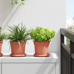 Augalų vazonai 24 pcs Raudona plyta &Oslash; 15 x 12 cm Plastmasė