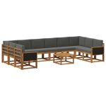 Lauko sofos komplektas 11 pcs Natūralus ir antracitas