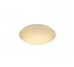 Plafoninis &scaron;viestuvas Easylink CL16142-D25, 12W, LED