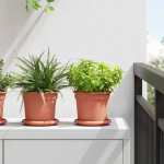 Apvalus gėlių padėklas 24 pcs Raudona plyta &Oslash; 14 x 2 cm