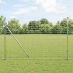 Euro tvora 1,6 x 10 m PVC padengta geležis