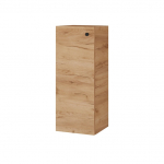 SPINTELĖ PAKAB ŪKIN MS-32GE-PM GOLD OAK
