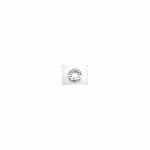 Turbocharger Nozzle Ring (replace GARRETT)-CNJ NR-024D Garrett-CN