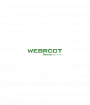 Webroot | SecureAnywhere | Antivirus | 1 year(s) | License quantity 1 user(s)