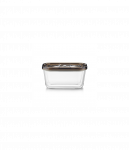 Caso Glass Vacuum Container with Plastic Lid | VacuBoxx Eco M | Transparent