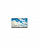 LG 4K UHD Smart TV | 65UM767H0LJ | 65 " | webOS | Wi-Fi | 380 cd/m&sup2;