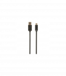 Cablexpert | USB 3.0 AM to Type-C cable | CCP-USB3-AMCM-0.5M