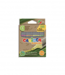 Teksto žymekliai CARIOCA kirsta galvute, ECOFAMILY MEMOLIGHT, 5 mm, 4 vnt.