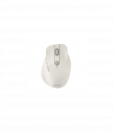 Asus Mouse | MD105 | Wireless | Bluetooth, 2.4GHz | Milky White