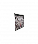 Elite Screens | Manual Series | M135XWH2 | Diagonal 135 " | 16:9 | Viewable screen width (W) 299 cm | White