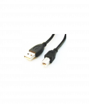 Cablexpert | CCP-USB2-AMBM-6 | USB-A to USB-B USB A | USB B