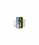 Dell P3225QE | 32 " | IPS | 4K UHD | 16:9 | 100 Hz | 5 ms | 3840 x 2160 pixels | 350 cd/m&sup2; | HDMI ports quantity 1 | Warranty 60