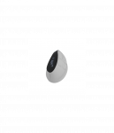 Natec Mouse | Euphonie Pro | Wireless | 2.4 GHz, Bluetooth | White