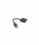 Cablexpert | Adapter Cable | DP to DVI-D | 0.1 m