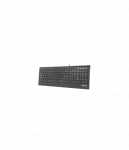 Natec Keyboard, Barracuda, US Layout, Slim | Natec | Keyboard | Barracuda | Standard | Wired | US | Black | 529 g