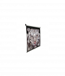 Elite Screens | M85XWS1 | Diagonal 215 cm | 1:1 | Viewable screen width (W) 152.4 cm | White