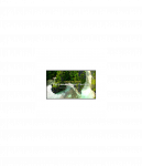 LG 4K UHD Signage | 55UL3Q-E | 55 " | 350 cd/m&sup2; | Landscape/Portrait | 16/7 | webOS | 8 ms | 178 &deg; | 178 &deg;