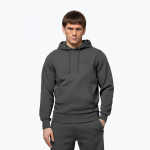 Vyri&scaron;kas džemperis Pitbull Sampson Hooded Sweatshirt grey/green