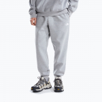 Vyri&scaron;kos kelnės The North Face Evolution Simple Dome Regular Jogger tnf pale grey h
