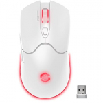 Speedlink VELOX Rechargeable RGB Gaming SL-680102-WT