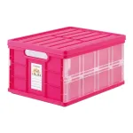 Sulankstoma daiktadėžė su dangčiu &bdquo;Therapy Kids Color&rdquo; rožinė CFC-TC-501KP