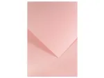 Kartonas Gladki pink (20 vnt.)