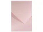 Kartonas Gladki powder pink (20 vnt.)