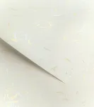 Kartonas Wind white ( 20 vnt.)