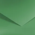 Kartonas Gladki green (20 vnt.)